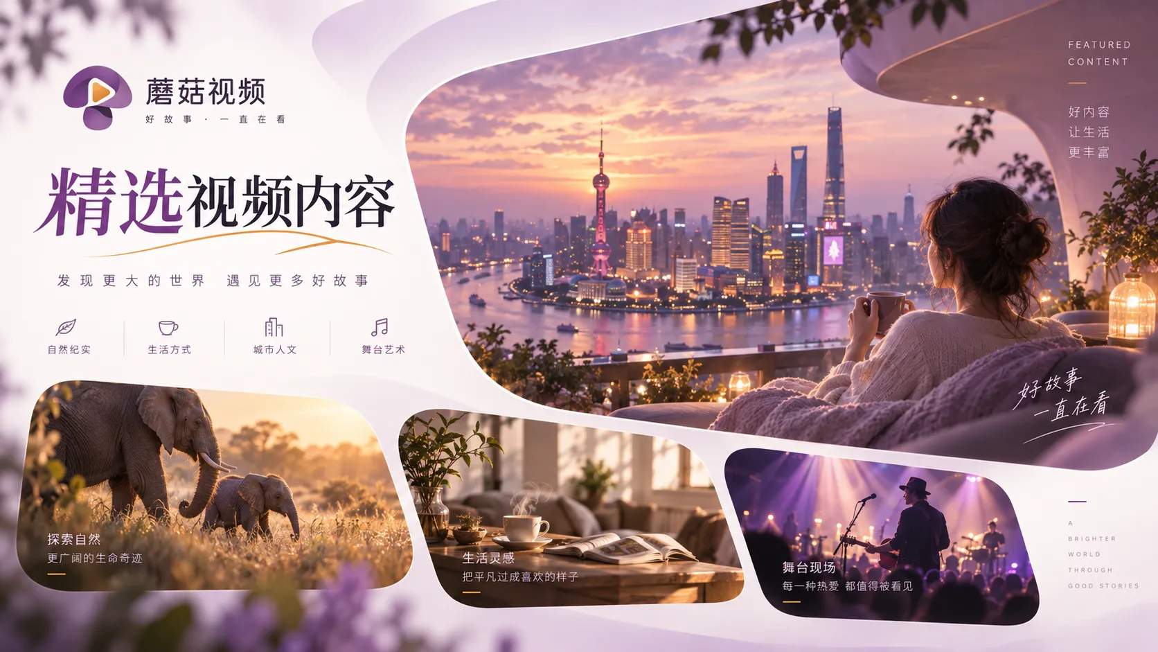 蘑菇视频在线观看内容索引与浏览说明